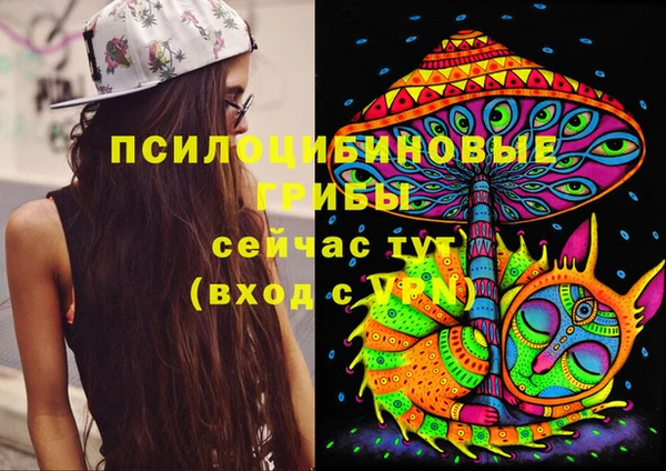 стафф Медногорск