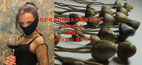 стафф Медногорск