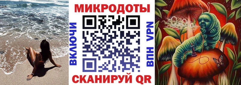 Псилоцибиновые грибы Psilocybe  Купить где  Кумертау 